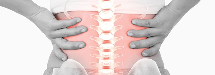 Chiropractic Porirua NZ Back Pain Spine