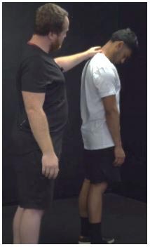 Chiropractic Porirua NZ Stretches Neck