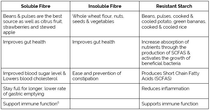 Chiropractic Porirua NZ Fibre Chart