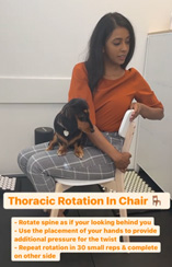 Chiropractic Porirua NZ Thoracic Rotation Chair