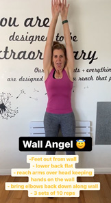 Chiropractic Porirua NZ Wall Angels