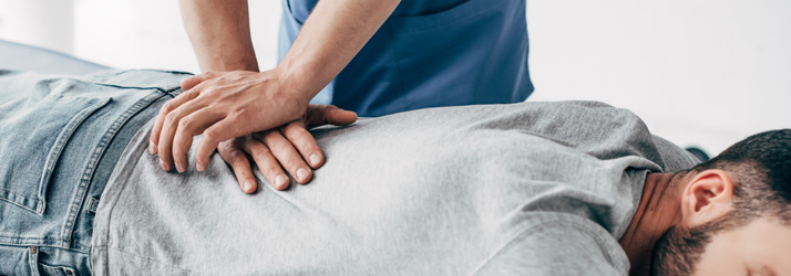 Chiropractic Porirua NZ Back Pain Chiropractic Adjustment