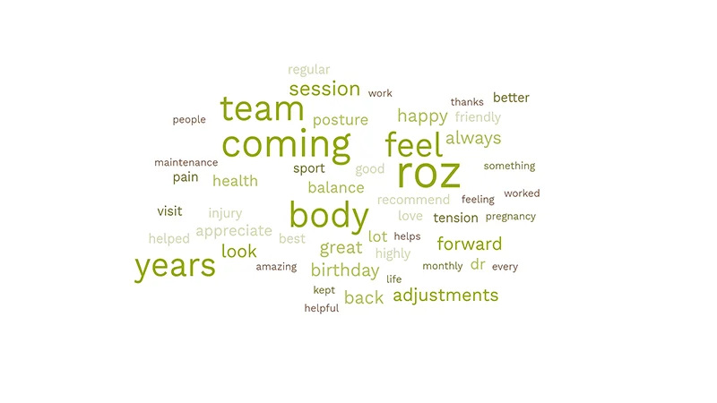 Chiropractic Porirua NZ 10 Year Word Cloud